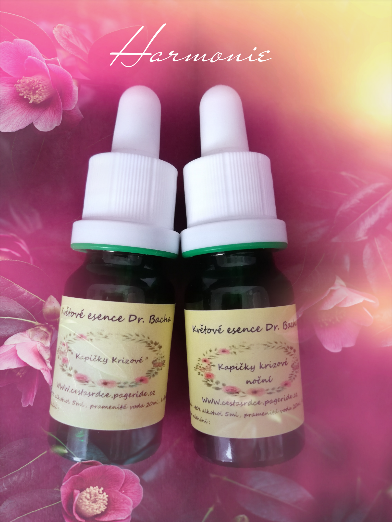 photostudio_1644154541771